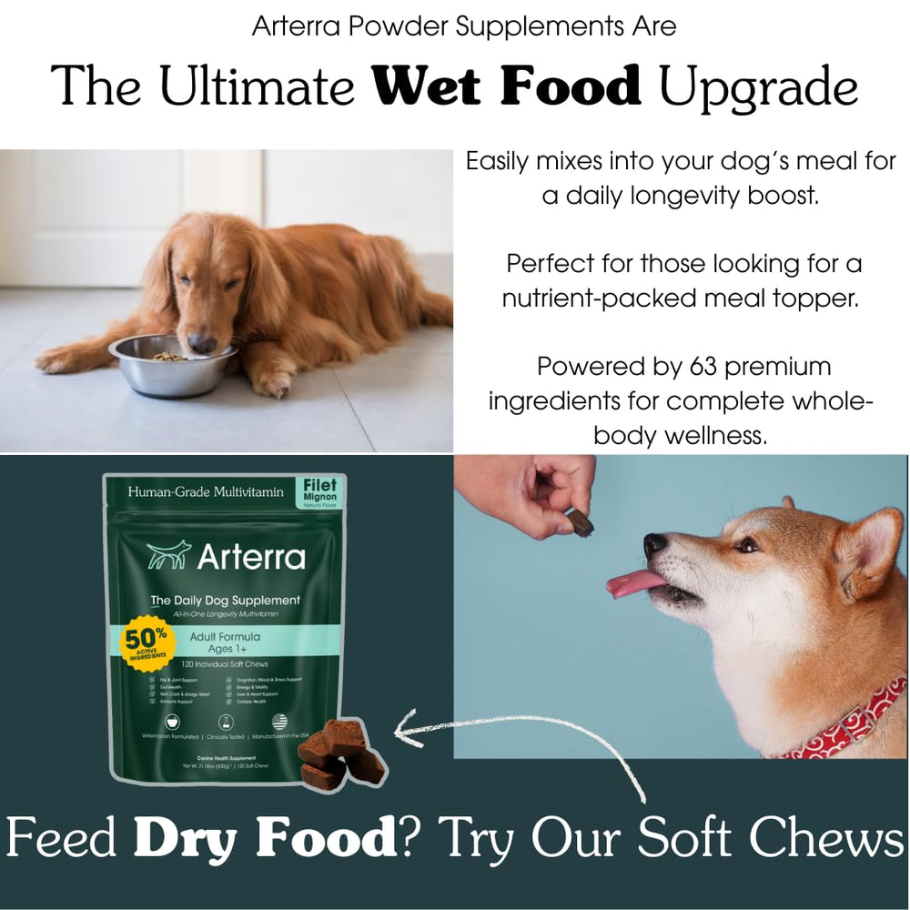 Arterra Dog powder scoop dispensing shows easy daily mixing into meals