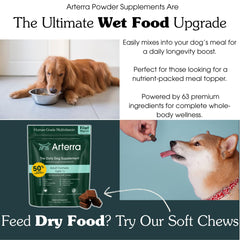 Arterra Dog powder scoop dispensing shows easy daily mixing into meals