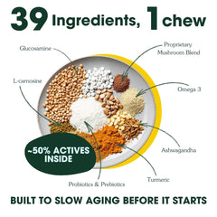 Arterra Longevity brain-mood close-up emphasizes omega-3s for focus and mood balance.