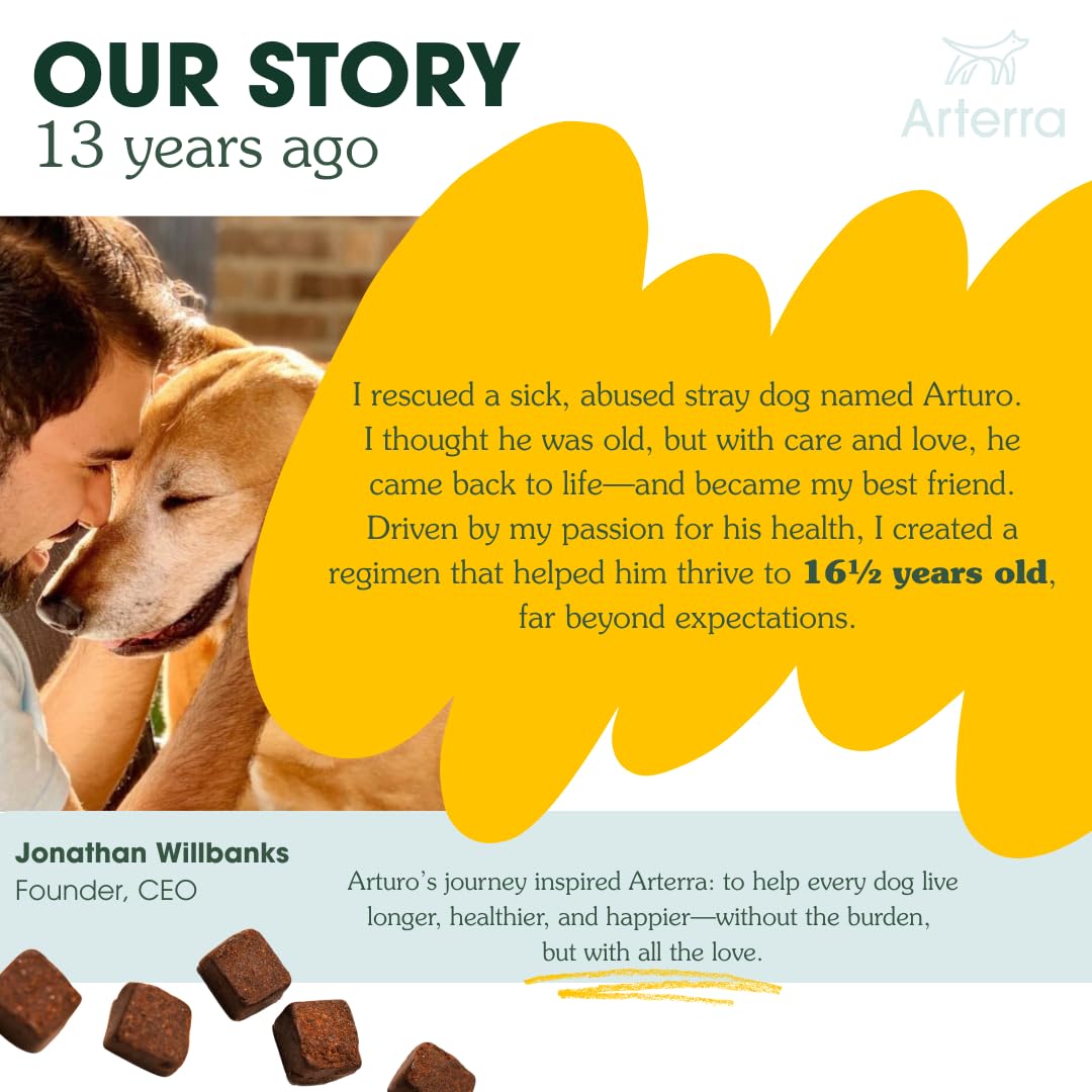 Arterra Longevity large soft chews photo conveys easy daily care for aging dogs.