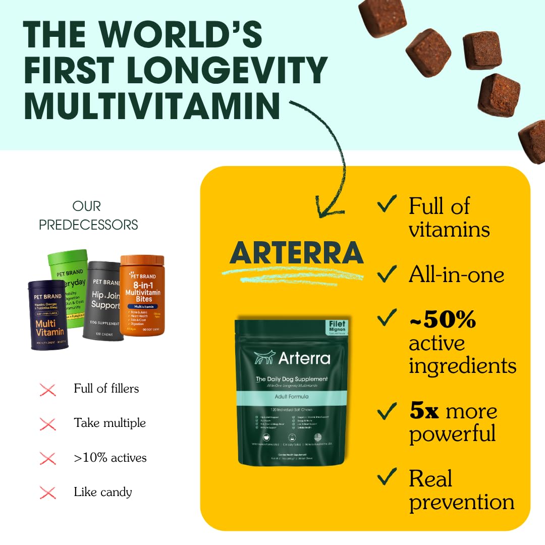Arterra Longevity soft chews close-up highlighting convenient daily bites for brain and mood support.