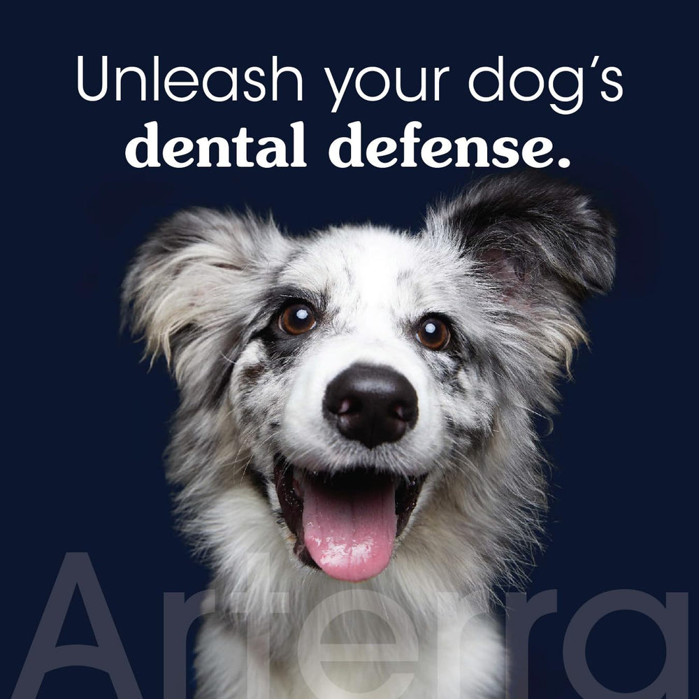 Arterra Pet Science nano-hydroxyapatite paste closeup highlights enamel repair potential.