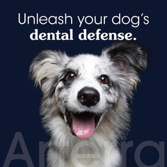 Arterra Pet Science nano-hydroxyapatite paste closeup highlights enamel repair potential.