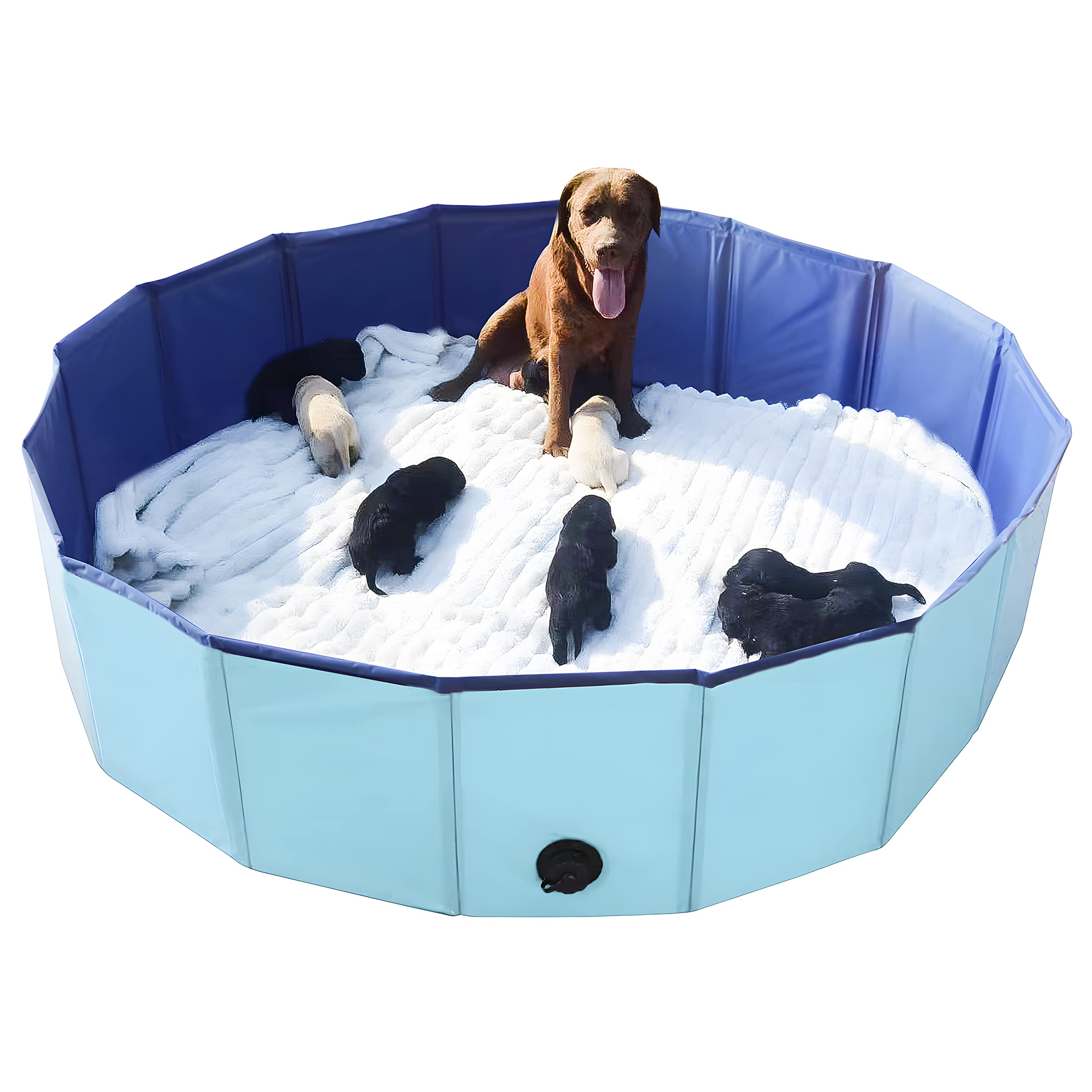 Artilife whelping box blue demonstrates durable construction for reliable puppy care setup.