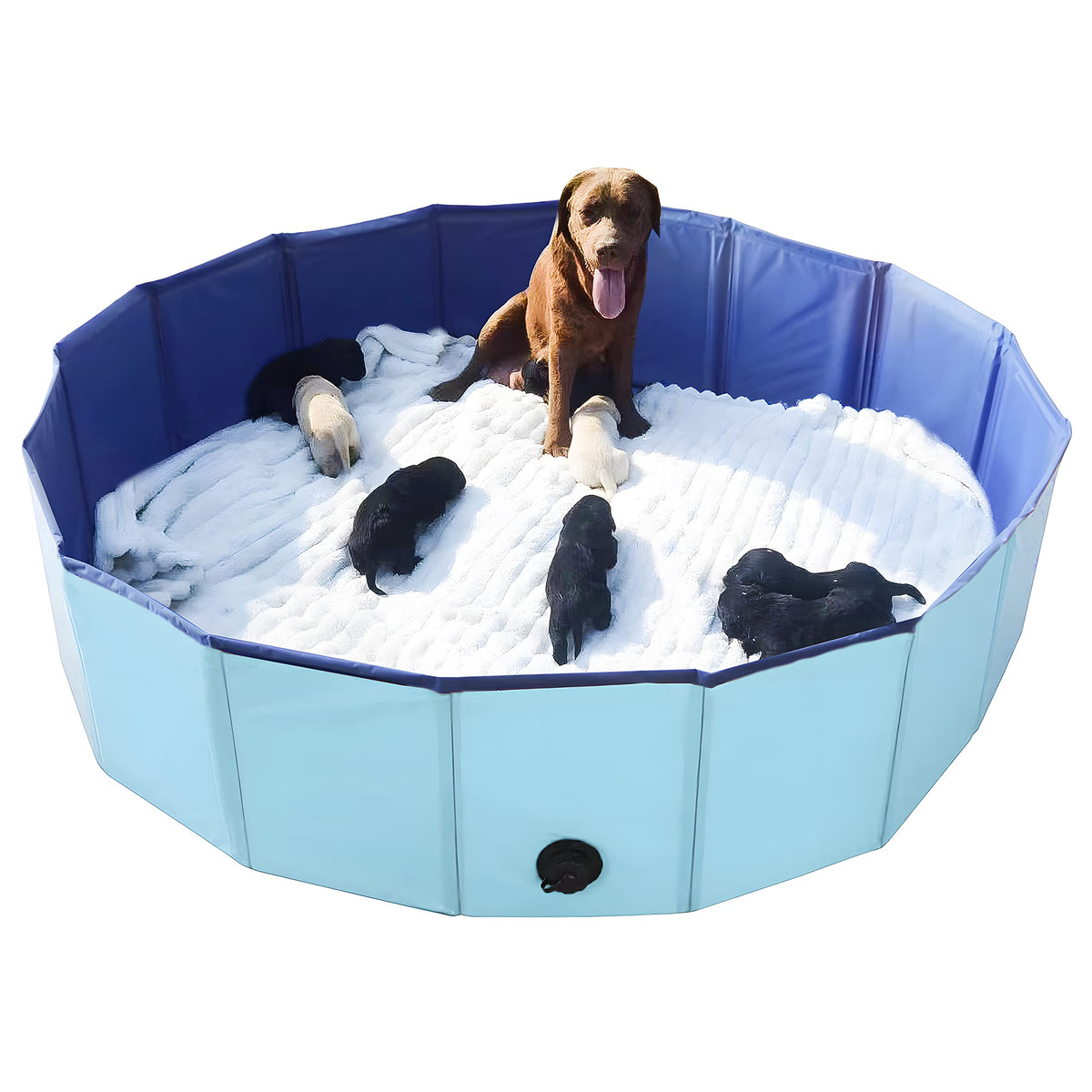 Artilife whelping box blue demonstrates durable construction for reliable puppy care setup.