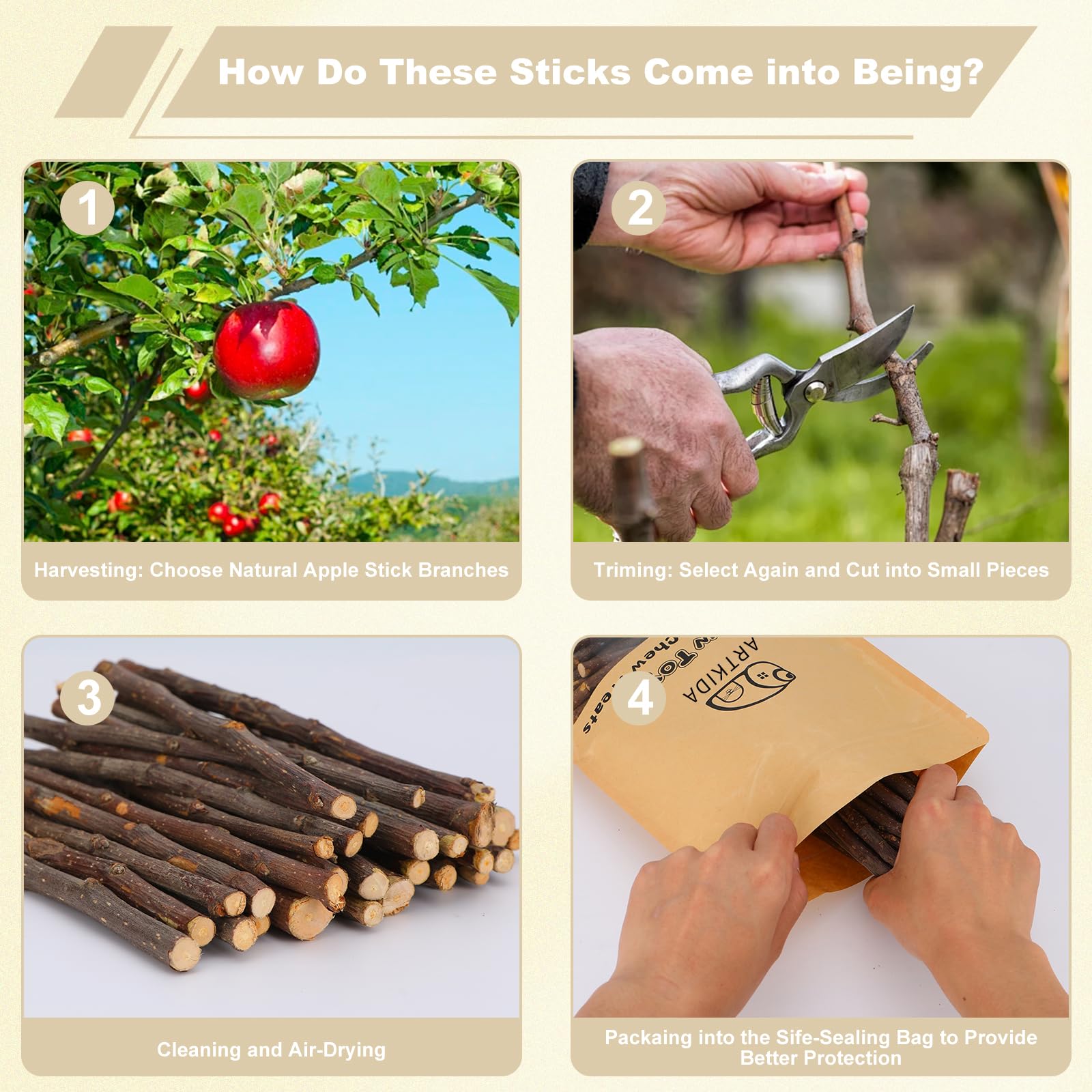 ARTKIDA 5-inch sticks ideal for rabbits and hamsters
