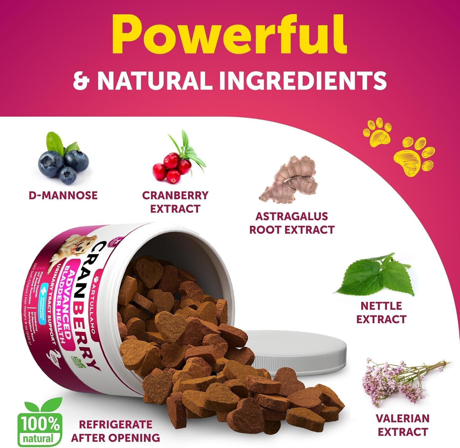 Artullano cranberry dog uti chews pair emphasizes 2-pack value for urinary health.