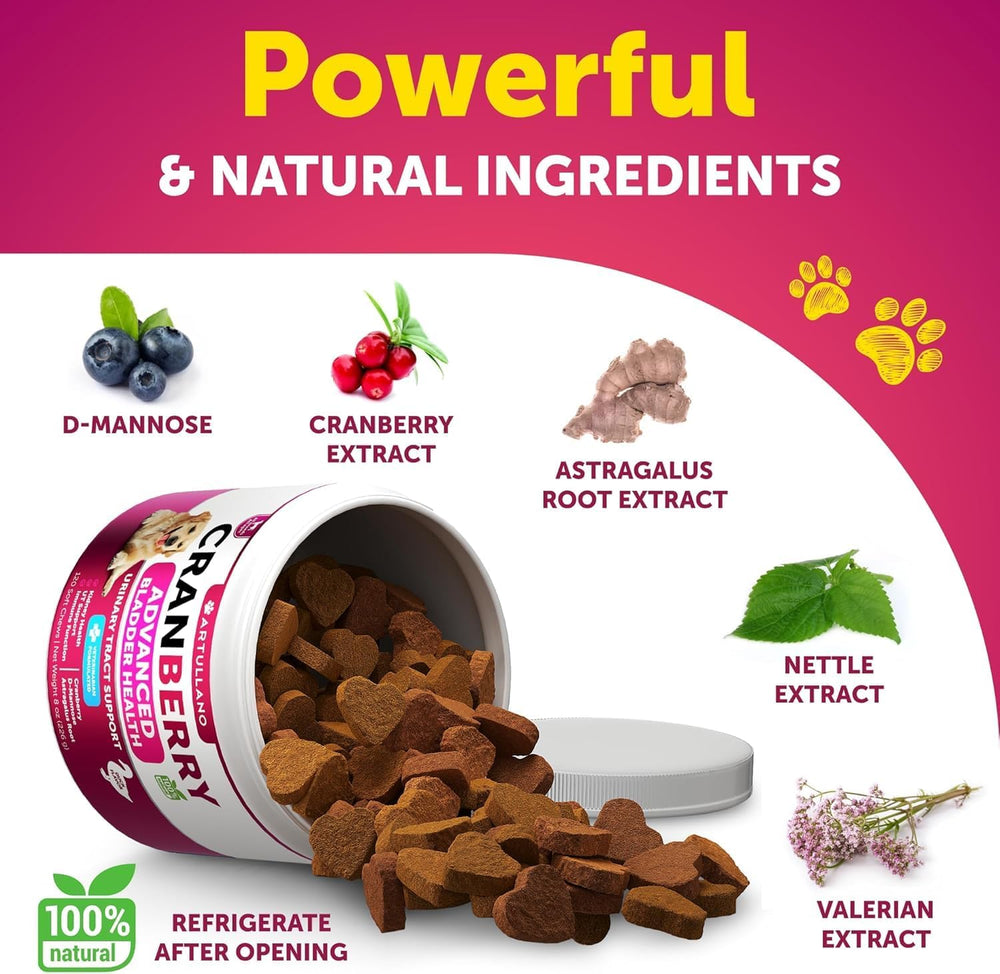 Artullano cranberry dog uti chews pair emphasizes 2-pack value for urinary health.