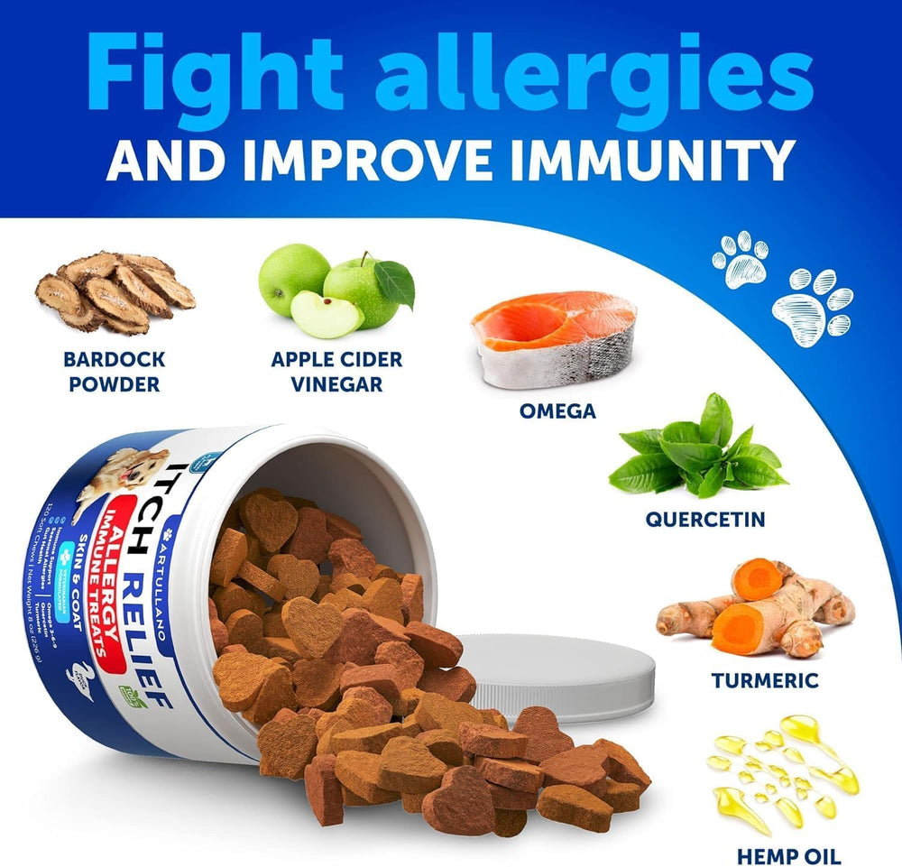 Dog enjoying Artullano chews illustrating comfortable skin and coat.