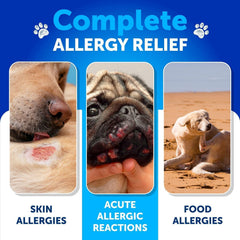 Soft treats from Artullano designed for seasonal allergen support.