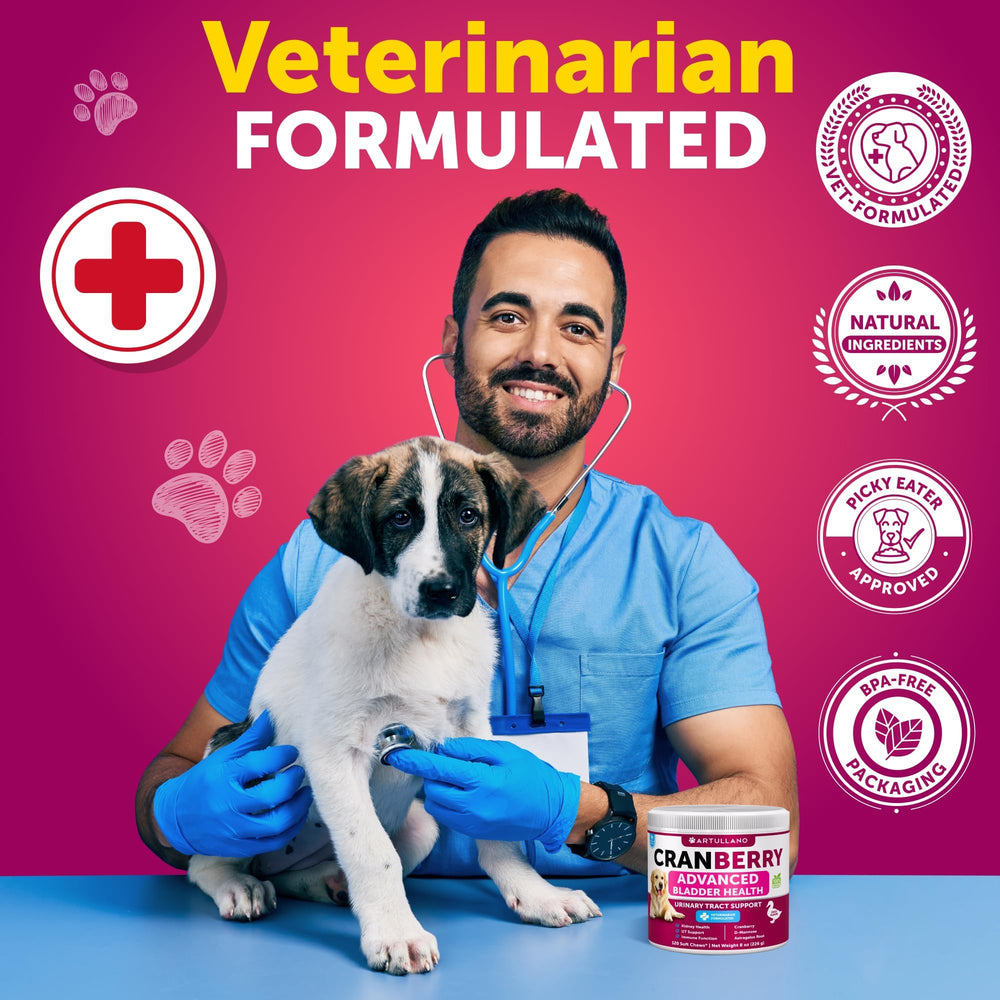 Artullano cranberry dog uti chews product shot highlighting daily use and ease.