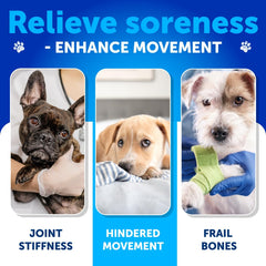 Artullano Glucosamine for Dogs chews closeup shows textured soft treats aiding mobility.