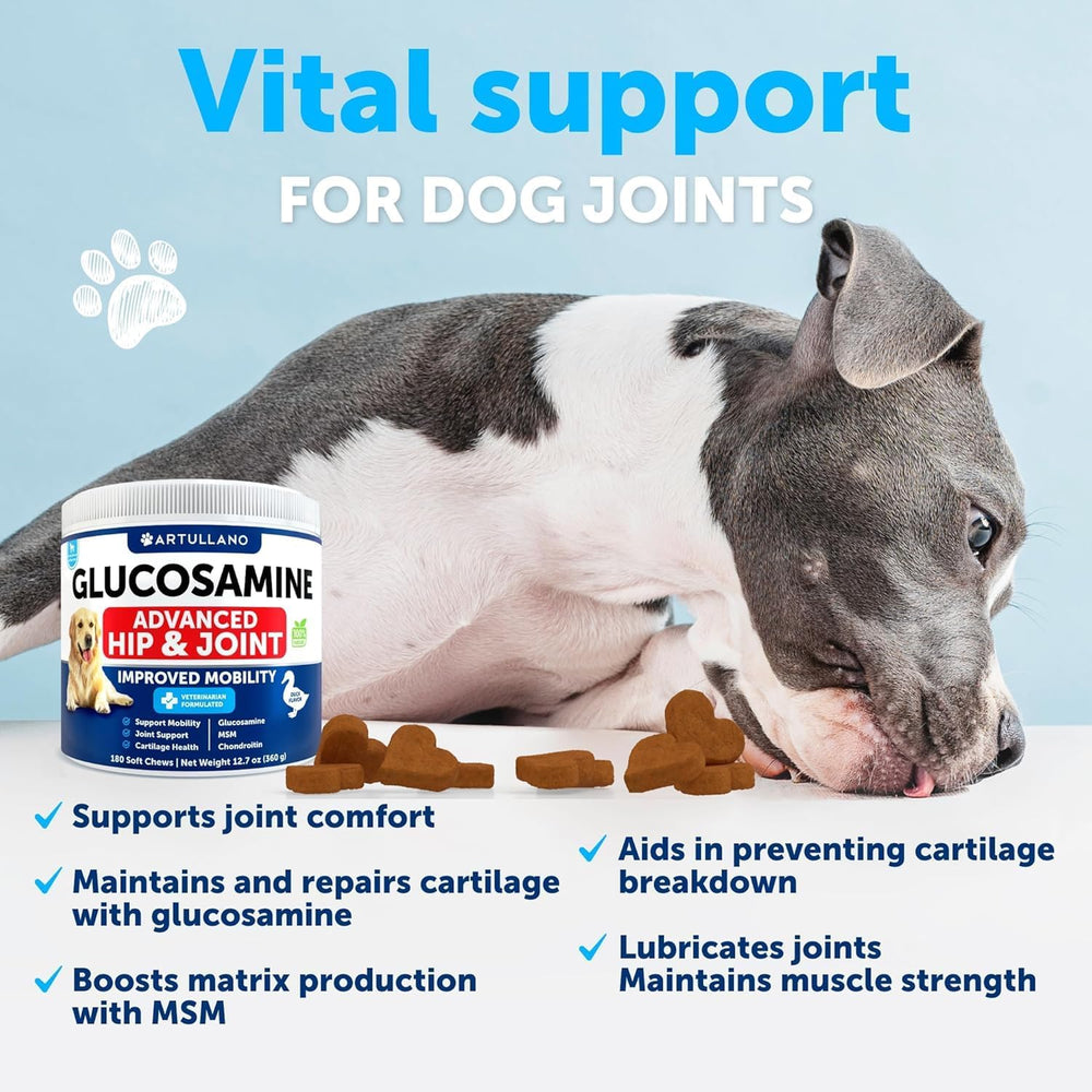 Artullano Glucosamine for Dogs soft-treats texture emphasizes palatability and joint health aid.