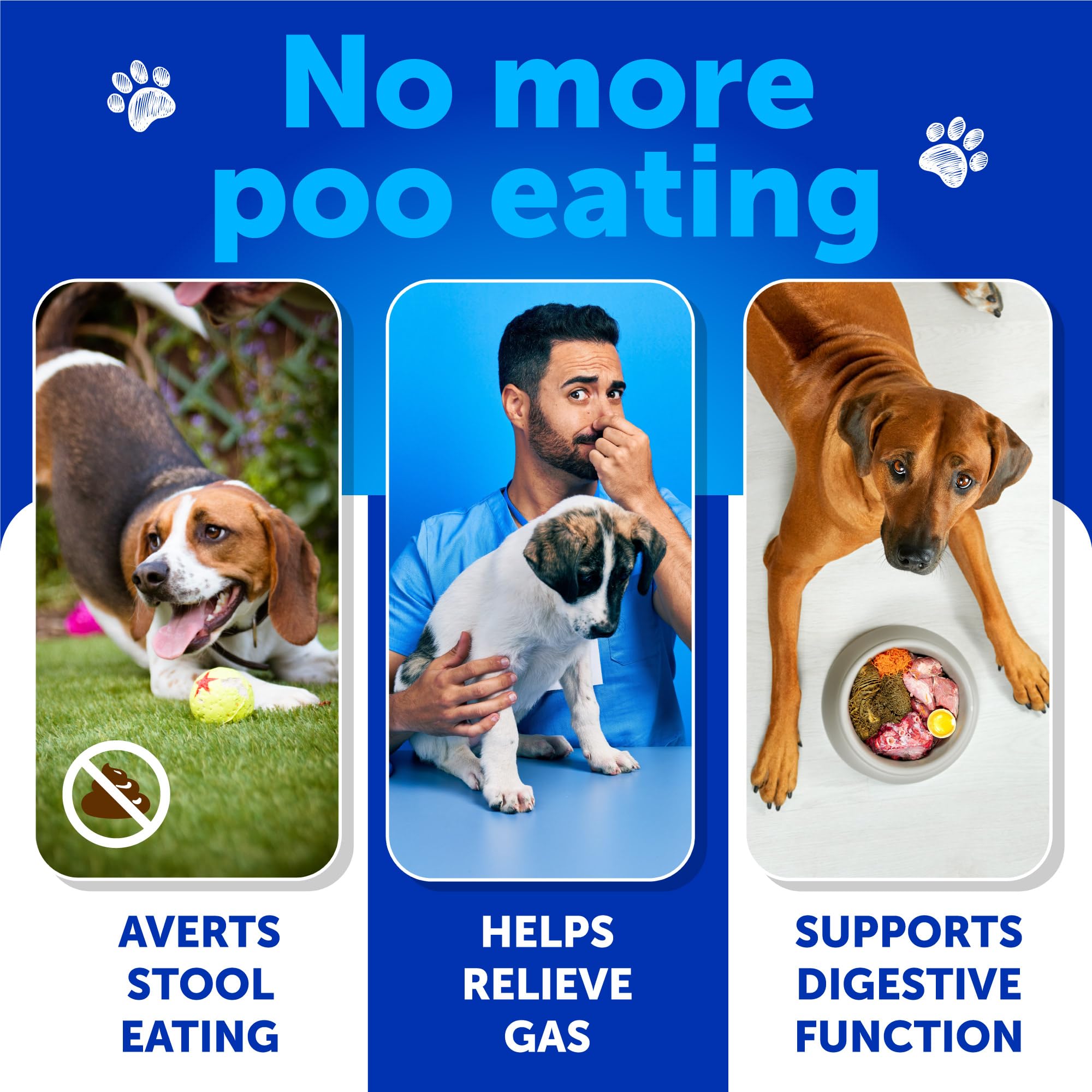 Artullano No Poo Chews probiotic-powder emphasizes canine digestion support.