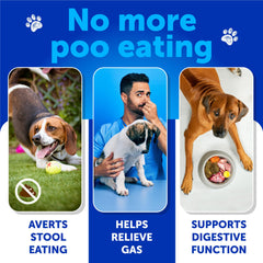 Artullano No Poo Chews probiotic-powder emphasizes canine digestion support.