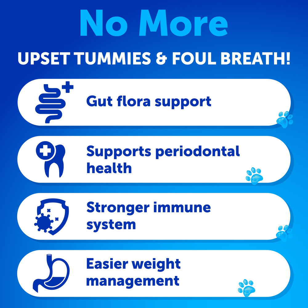 Artullano No Poo Chews pumpkin-puree reveals pumpkin-based gut health aid.