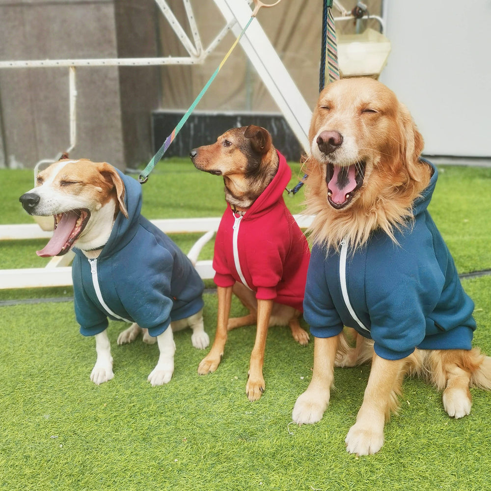 ARUNNERS extra-large dog hoodie care guide for machine washing and easy maintenance