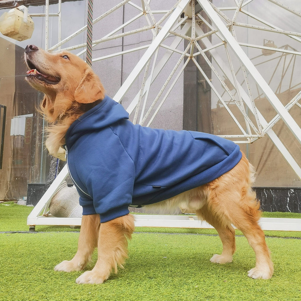 ARUNNERS large dog zipper hoodie blue worn during a calm outdoor walk