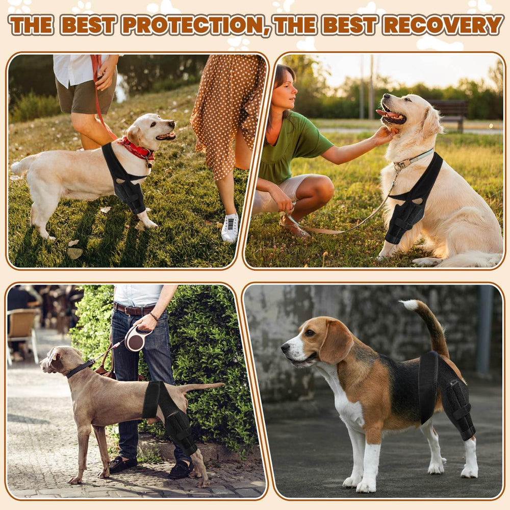 Arvion knee brace supporting daily activity during playful moments