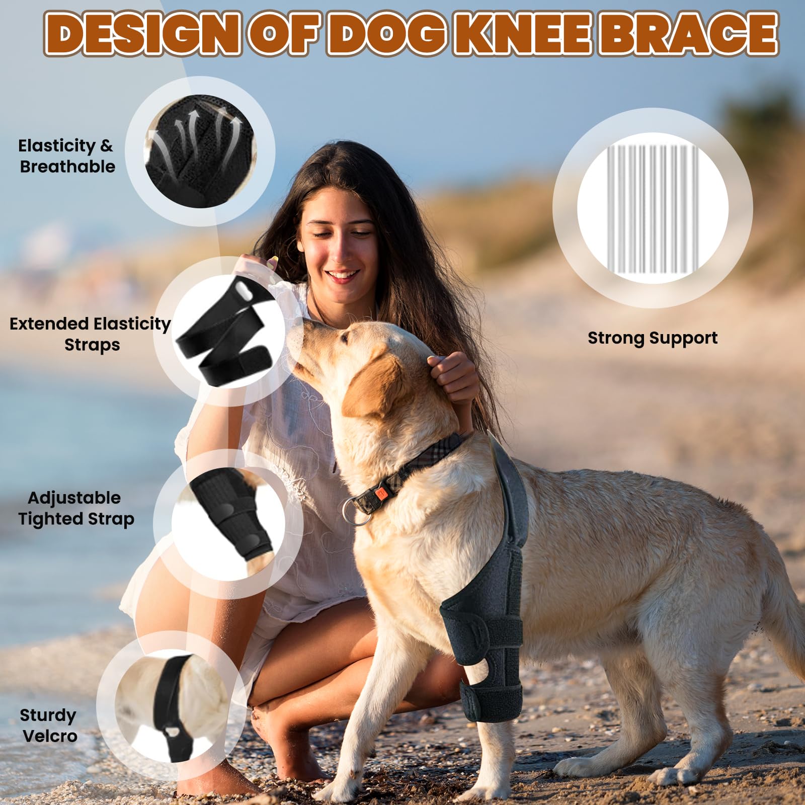 Arvion knee brace fitted on a dog's hind leg during activity for support