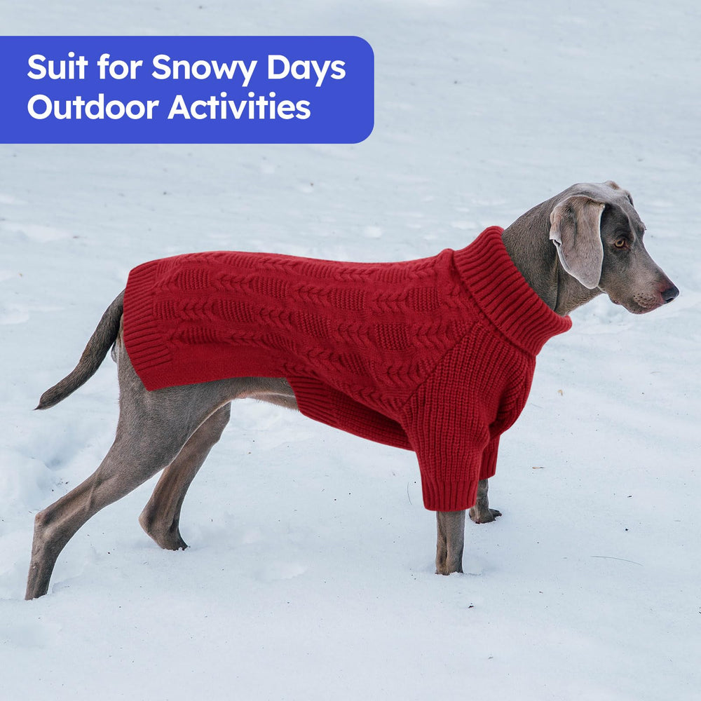 ASENKU doberman in winter sweater ready for chilly outings.