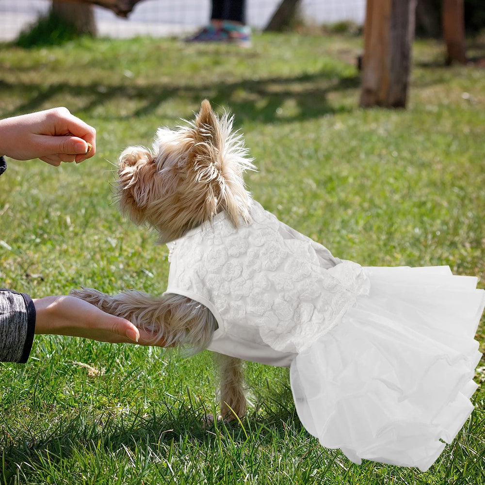 ASENKU pet dress suits weddings, parties, and photoshoots.