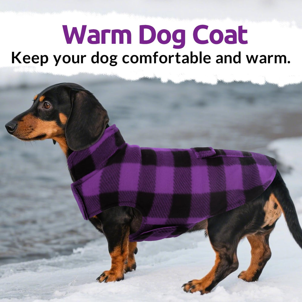 ASENKU dog jacket plaid reversible purple worn outdoors during chilly walks.