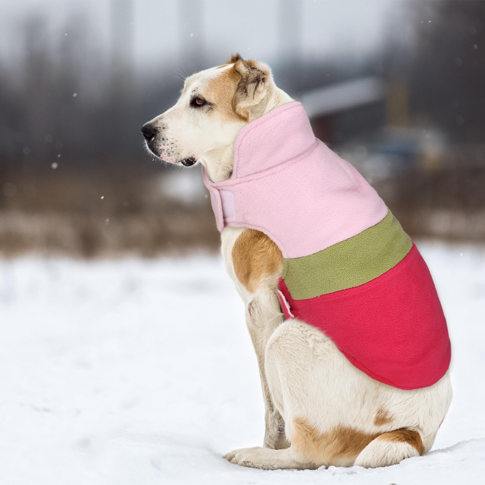 ASENKU dog jacket waterproof fabric keeps pets dry in rain.