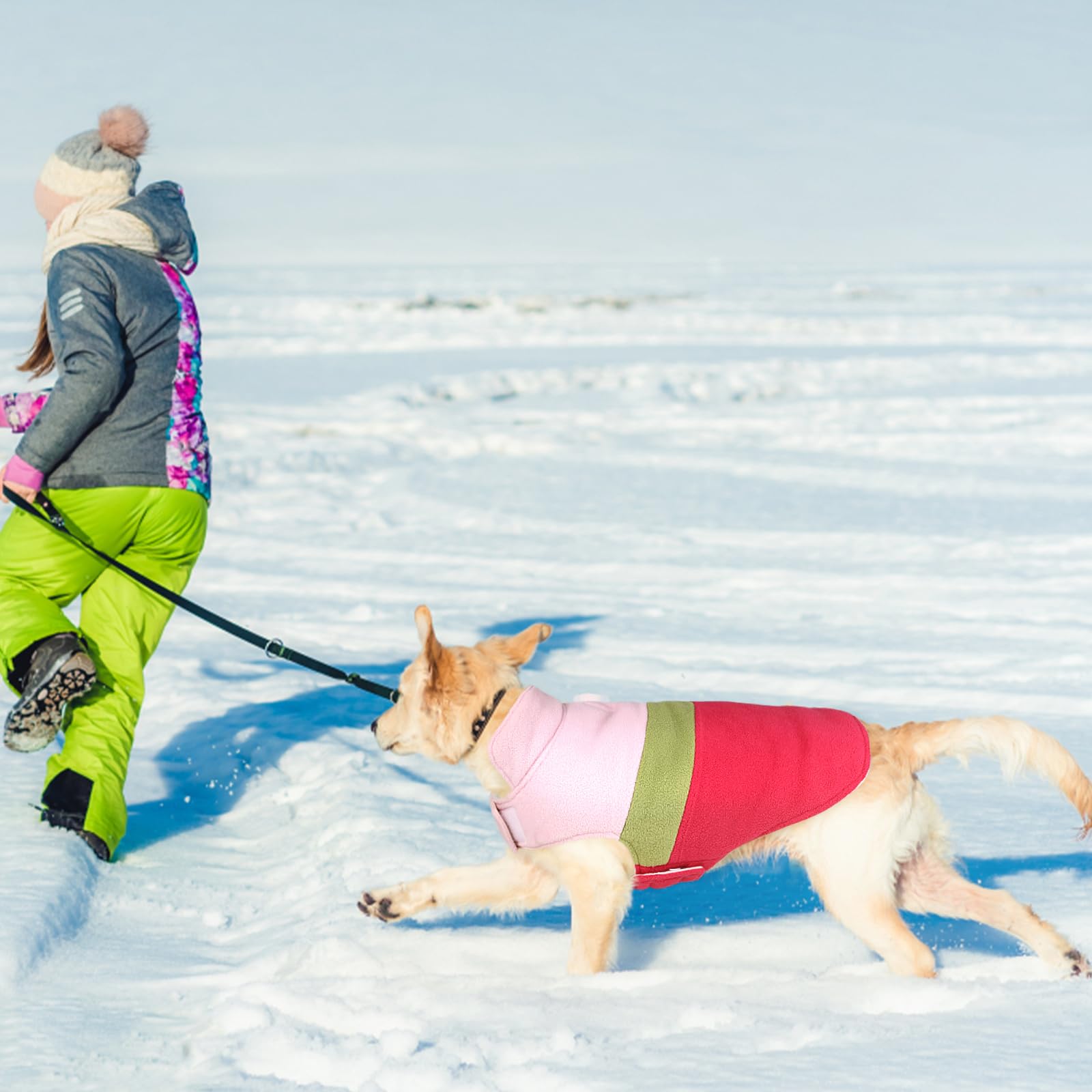 ASENKU dog jacket worn during winter walk shows easy wear and mobility.
