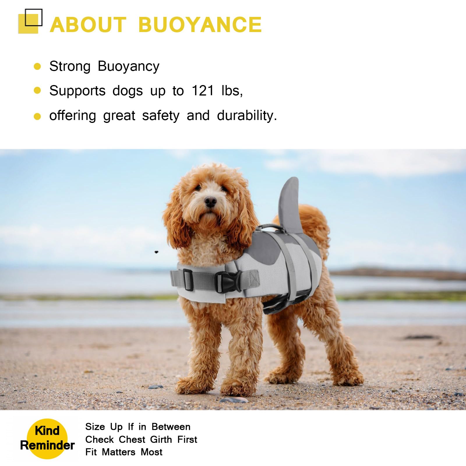 ASENKU dog life jacket color shark grey bold outdoor look