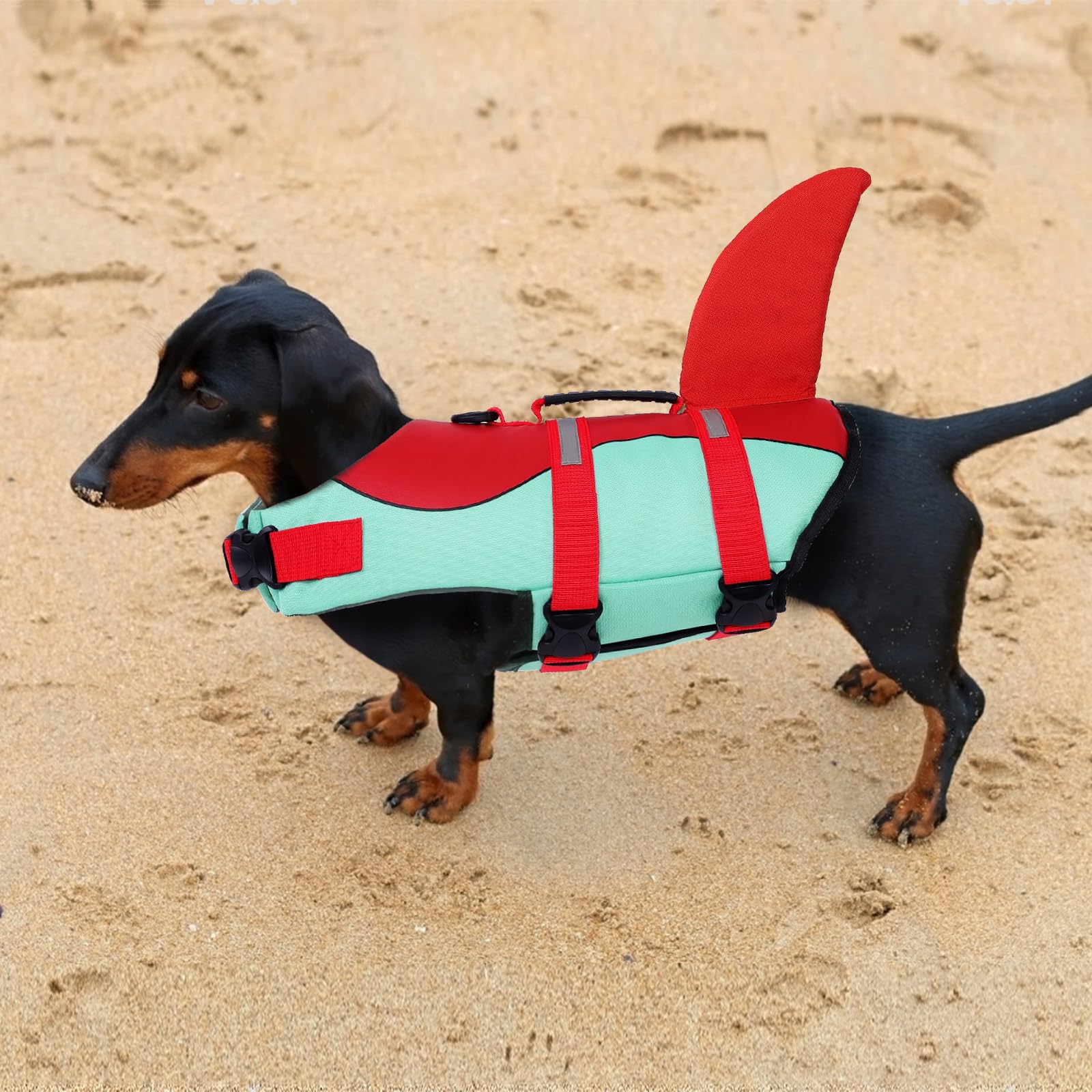 ASENKU dog life jacket D-ring leash attachment supports controlled outings