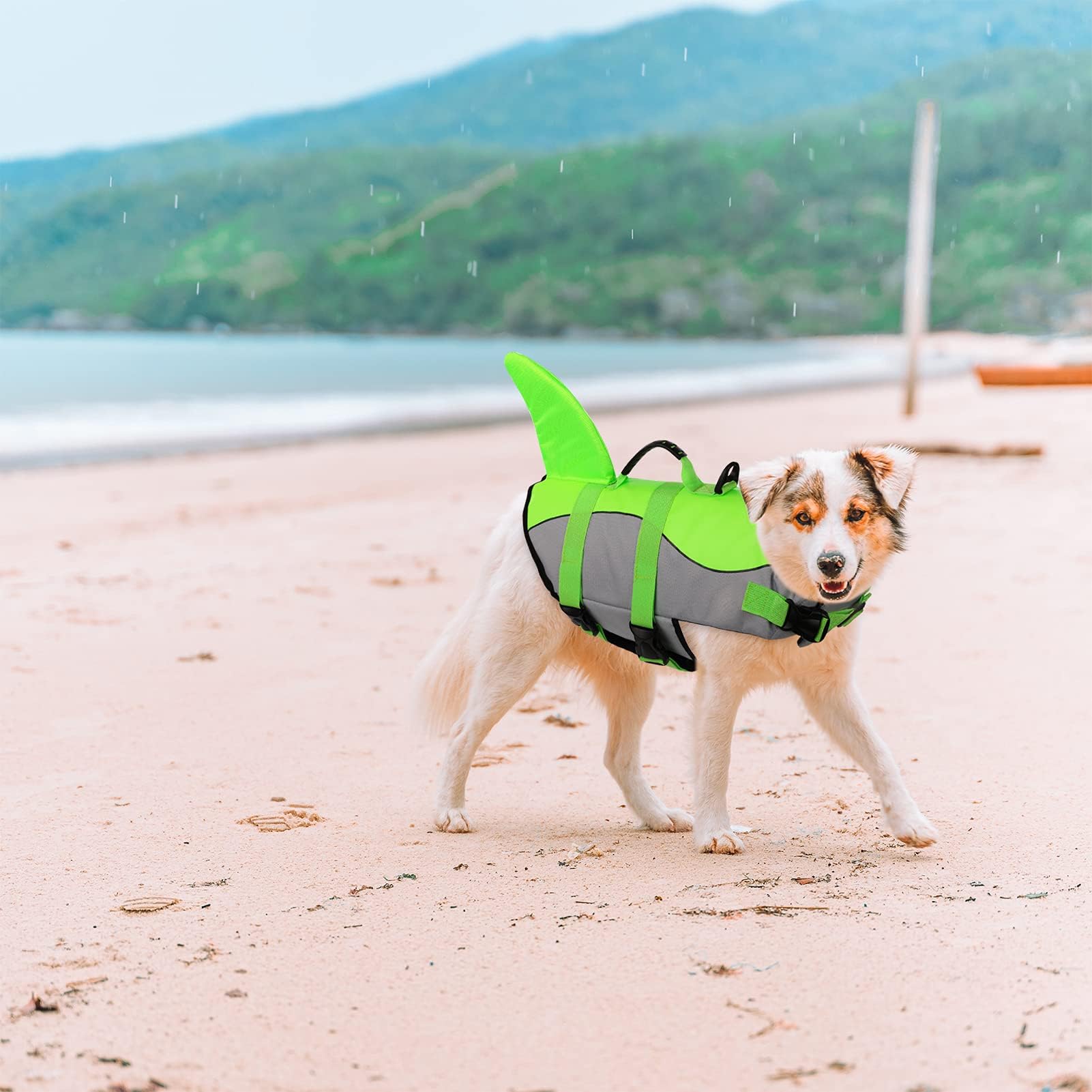 ASENKU dog life jacket D-ring leash attachment enables secure control on land and dock walks