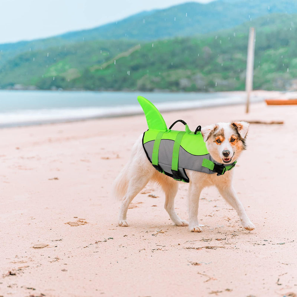 ASENKU dog life jacket D-ring leash attachment enables secure control on land and dock walks