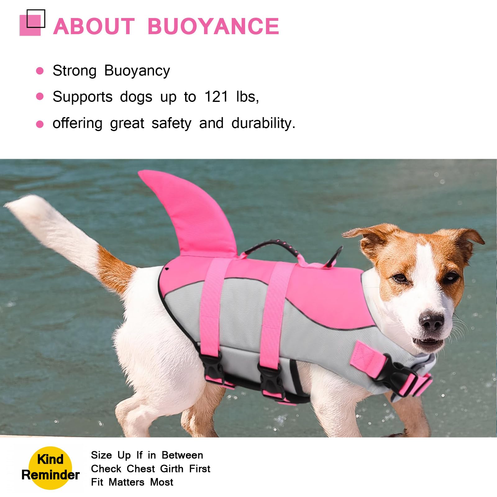 ASENKU jacket features heavy-duty D-ring for leash attachment and control.