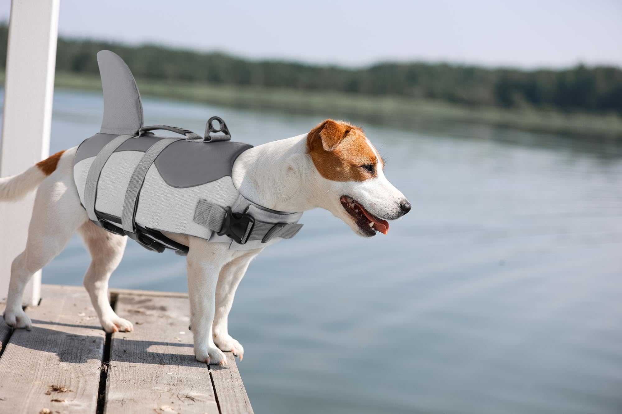 ASENKU dog life jacket size guide helps choose XS to 2XL