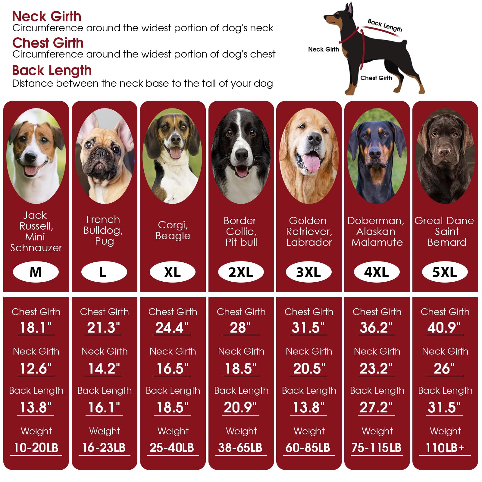ASENKU dog sweater turtleneck design keeps neck warm during chilly walks.