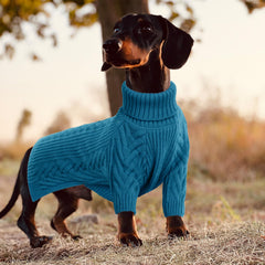 ASENKU dog sweater turtleneck fold, full coverage and easy on-off for busy owners.