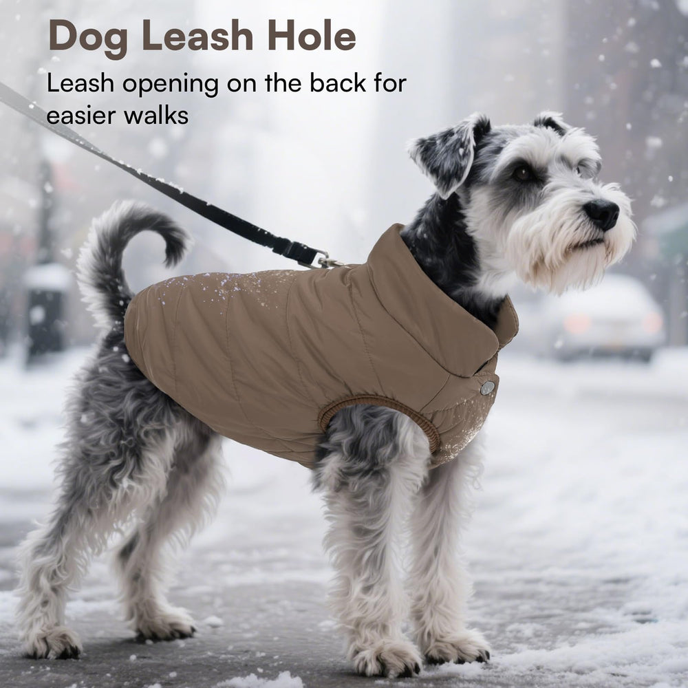 ASENKU dog winter coat four metal snaps for easy on/off.