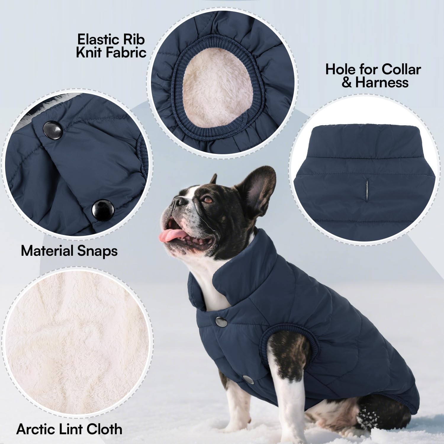 ASENKU dog winter coat back view highlights warmth and windproof outer layer.