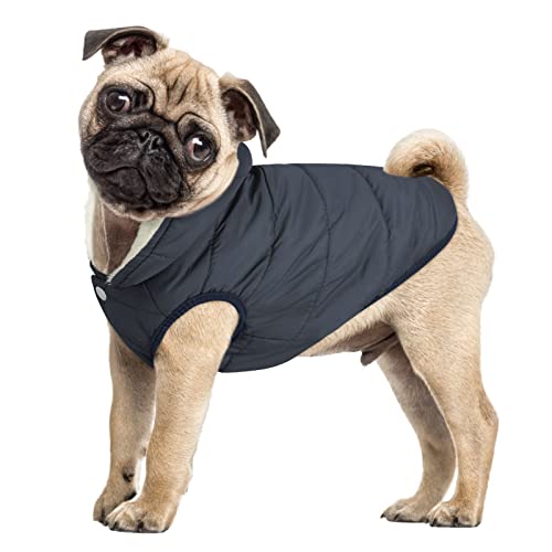 ASENKU dog winter coat blue 2XL worn by a dog.
