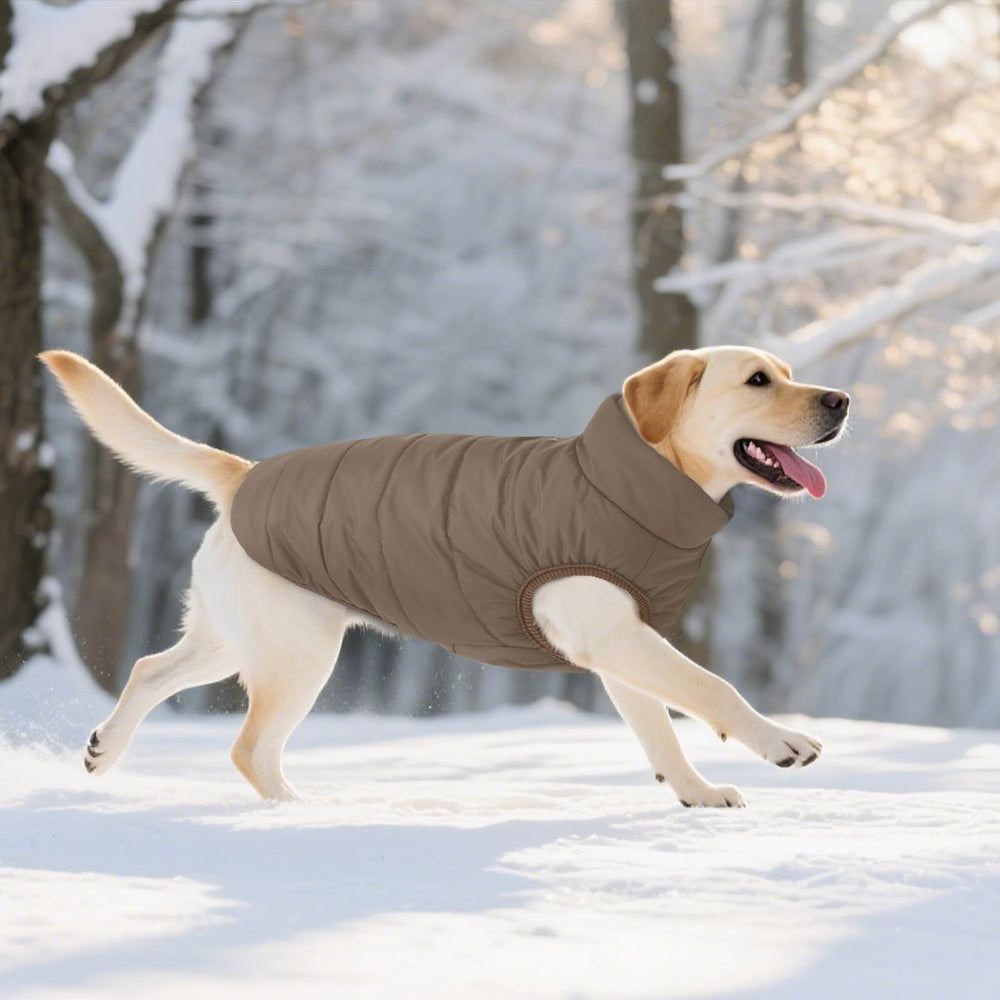 ASENKU dog winter coat coffee rear view demonstrates full mobility and coat coverage