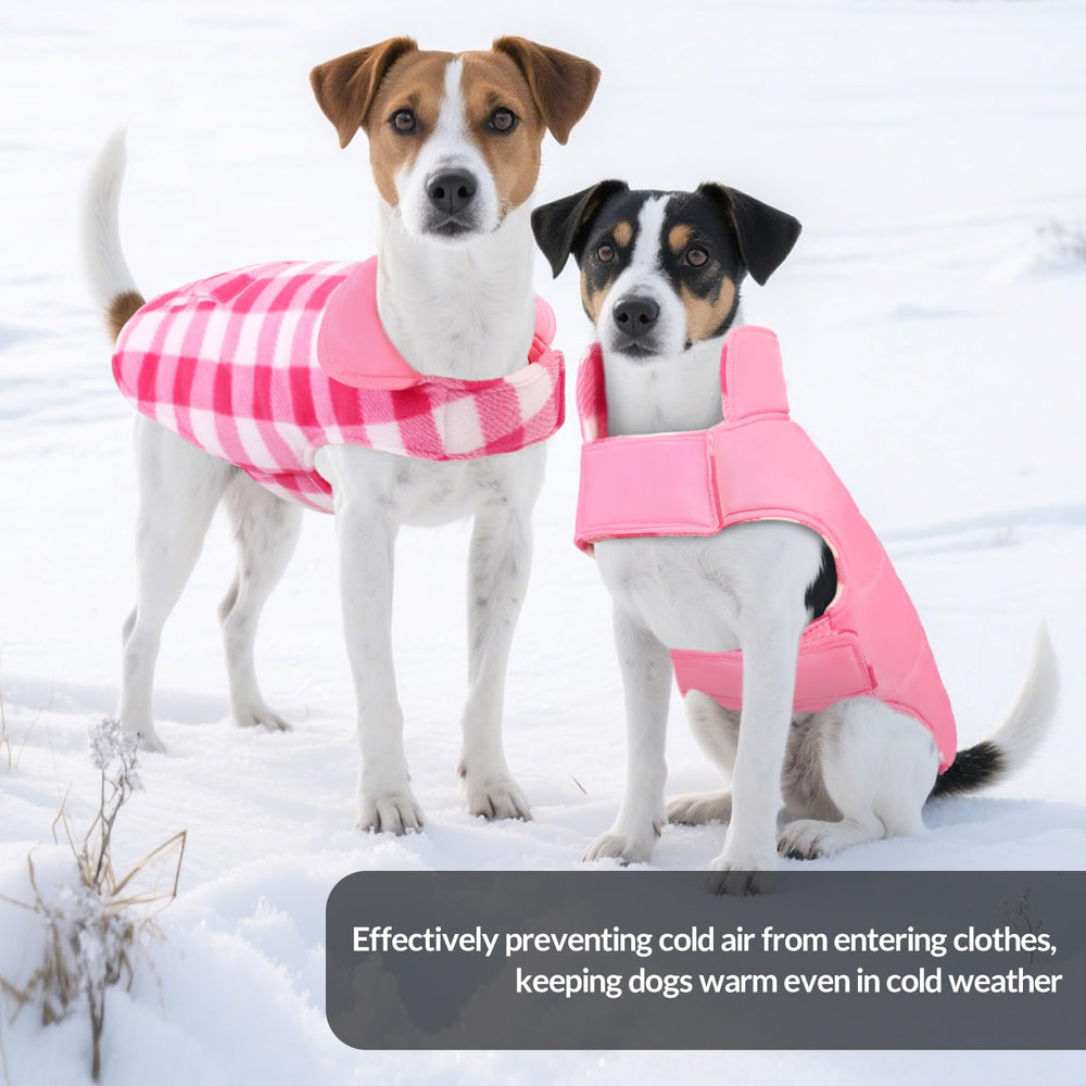 ASENKU dog winter coat on walk in cold weather.