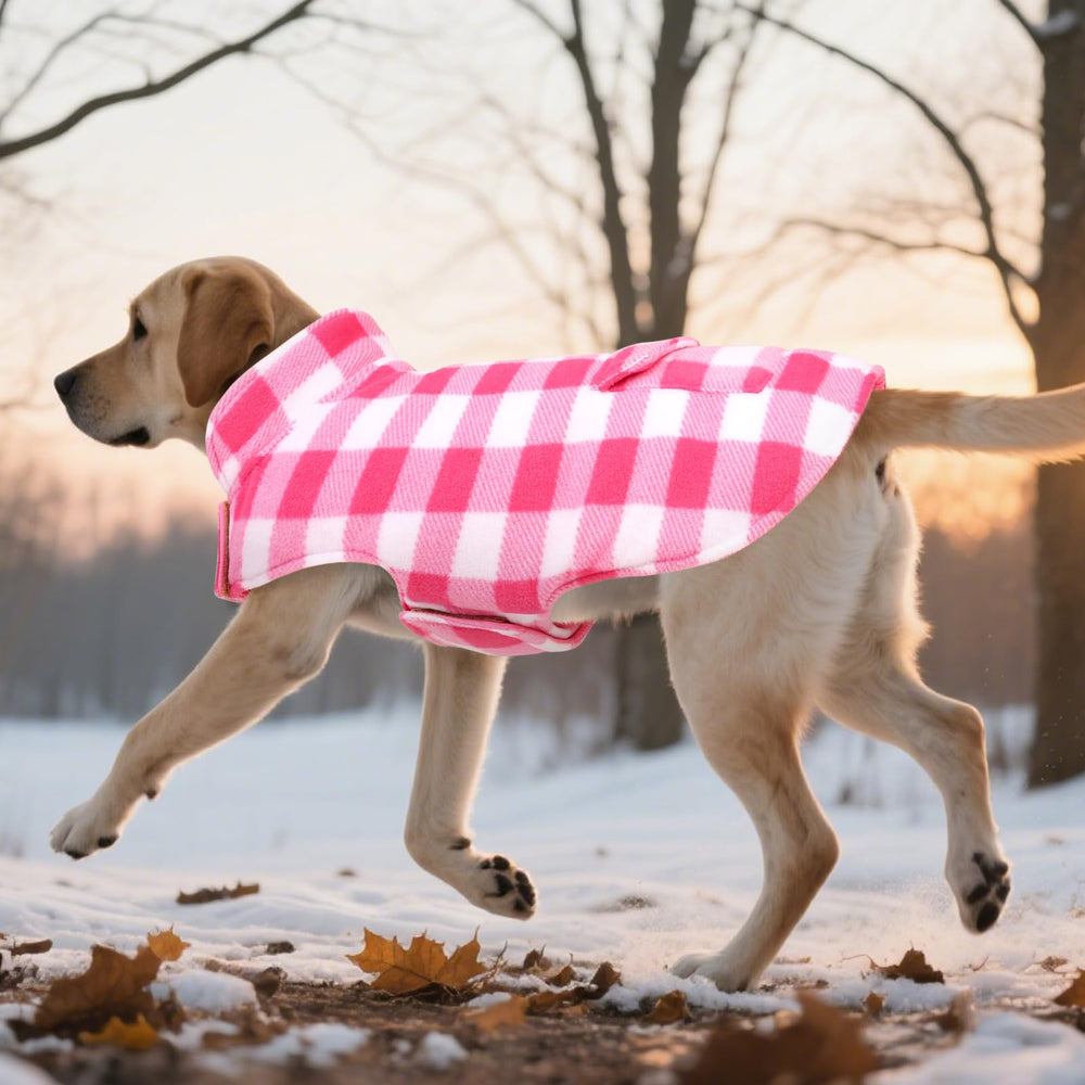 ASENKU dog winter coat easy on/off with magic sticker closures.