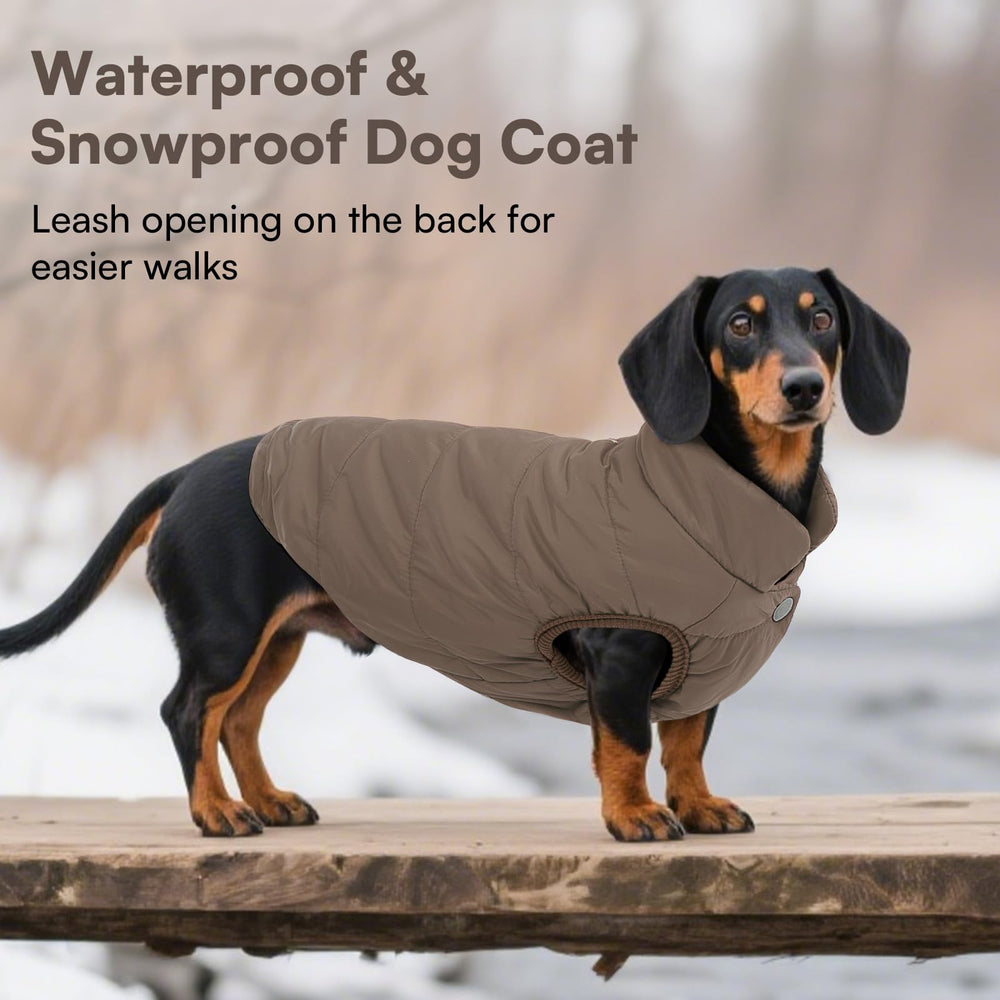 ASENKU dog winter coat elastic edge at feet creates snug fit.