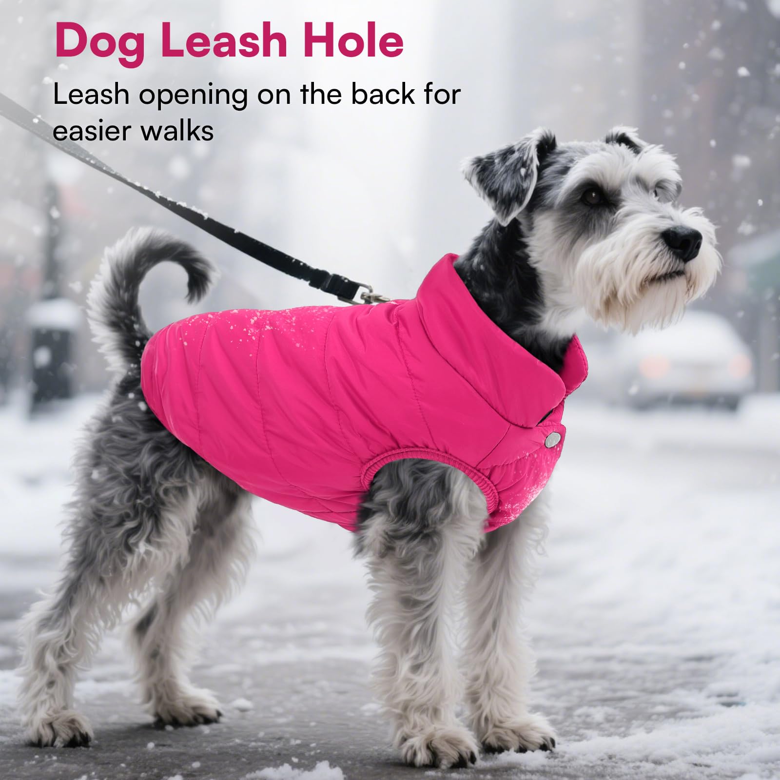 ASENKU leash hole detail enables simple, secure harness access