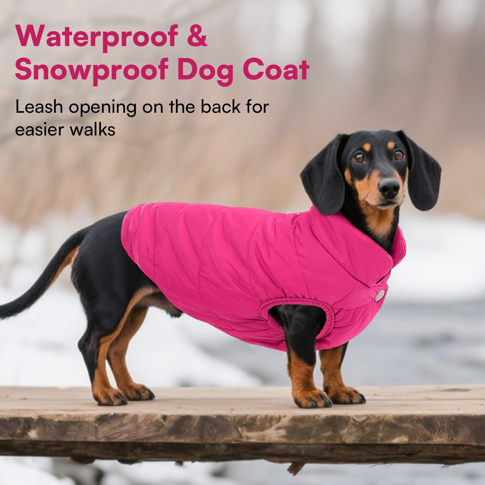 ASENKU dog coat leash hole enables quick leash access