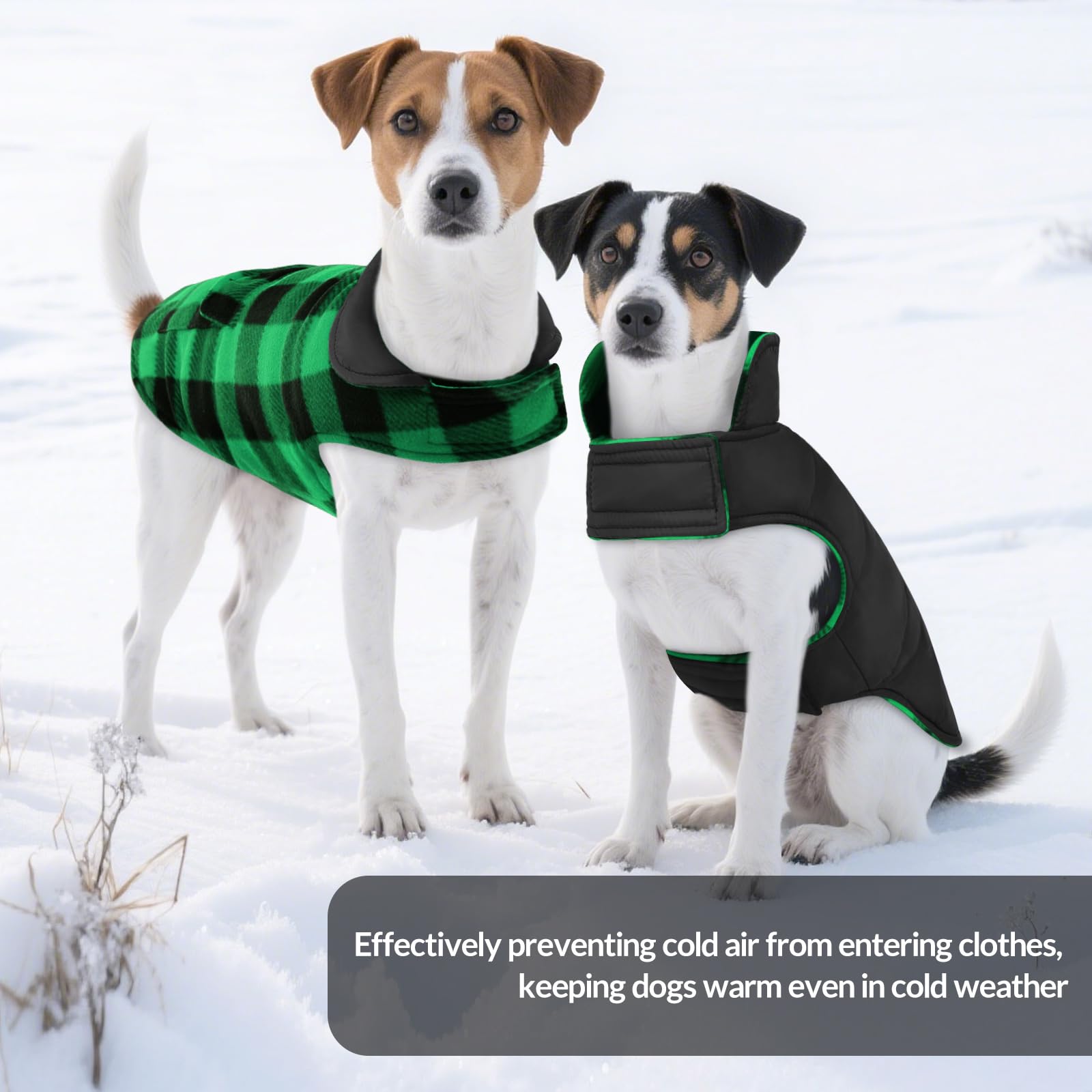 ASENKU dog winter coat lightweight warm-fill delivers cozy warmth without bulk