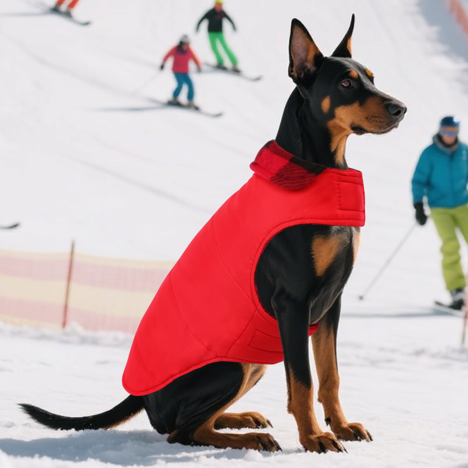 ASENKU model wearing coat during winter walk outdoors