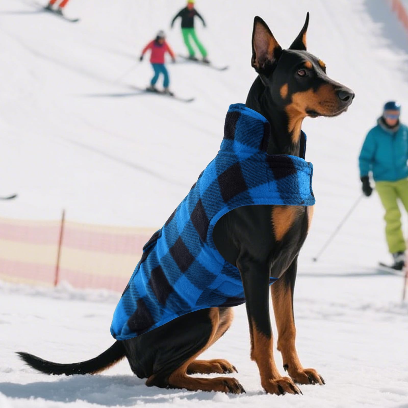 asenku dog winter coat model worn during outdoor walk