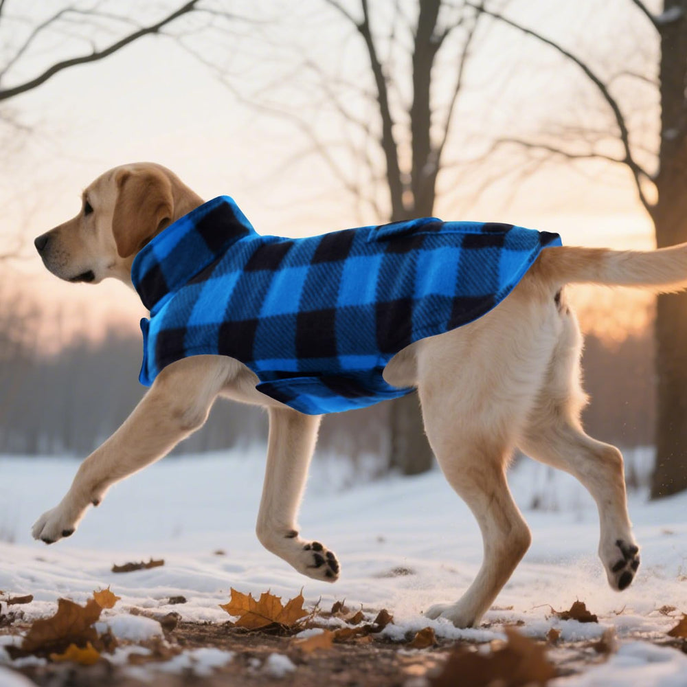 asenku dog winter coat plaid side detail shows stylish versatility